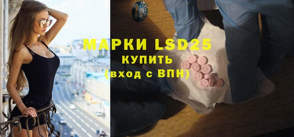 молекула духа Болотное