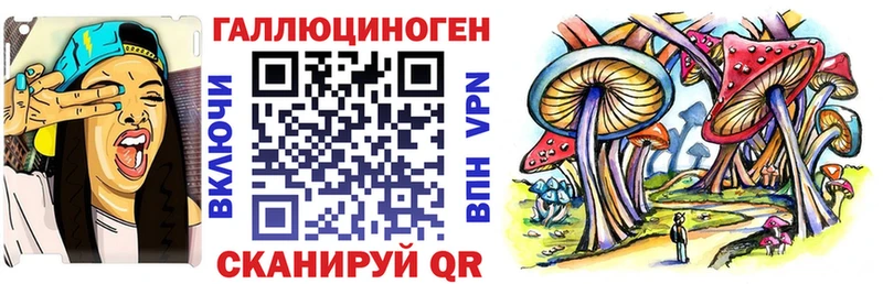 Галлюциногенные грибы Cubensis  наркошоп  кракен онион  Удомля 